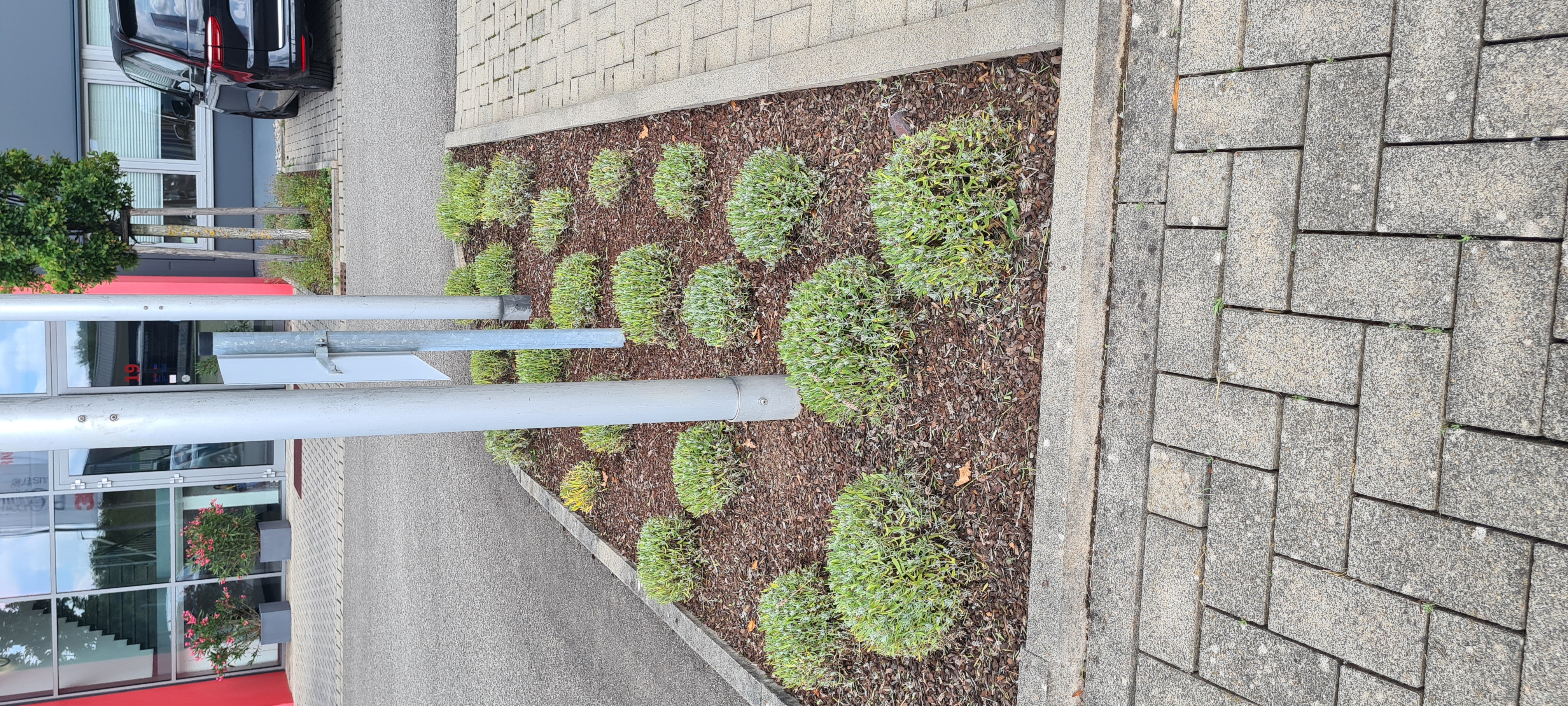 Nachher – Projekt 1